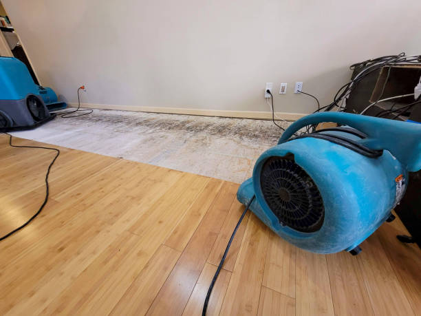 Professional Structural Drying technician working in Athens, GA